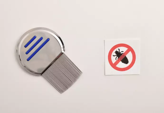 A photograph of a lice comb. The comb is silver metal, with a round handle and closely spaced metal teeth. Next to it is a sign showing a louse with a red 'no' symbol on top of it.